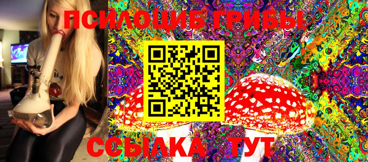 Галлюциногенные грибы MAGIC MUSHROOMS  Галлюциногенные грибы Magic Shrooms  Луга  купить   Вход с VPN 