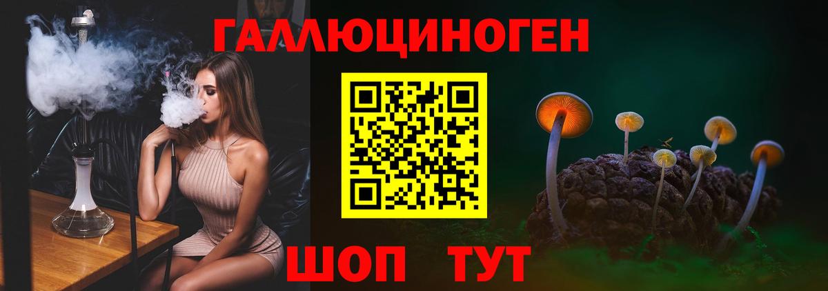 Псилоцибиновые грибы MAGIC MUSHROOMS Луга